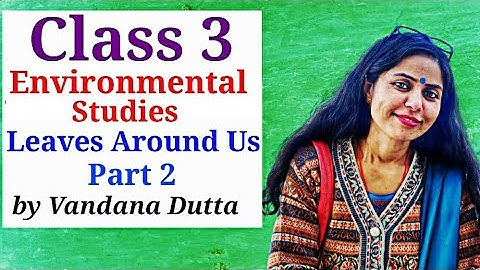 Enviromental Studies Class 3 | Leaves Around Us 2 | EVS Class 3 Cbse | 2 July 2020 | Whiteboard |
