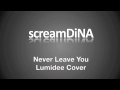 Never Leave You - Lumidee (Cover by DiNA)