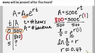 Exponential Growth Application (population)