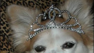 Lil Hero Radar Extended Juana1an Remix checkin U Out