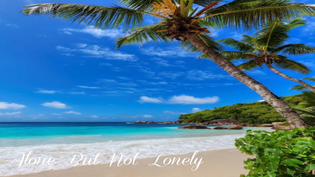 Calming Relaxing Music, sleep, study, calm, focus 🔆 Alone But Not Lonely