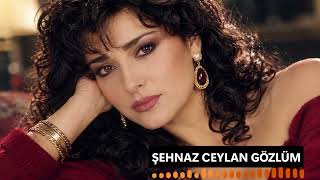Şehnaz - Ceylan Gözlüm (Damar Arabesk / 2026)