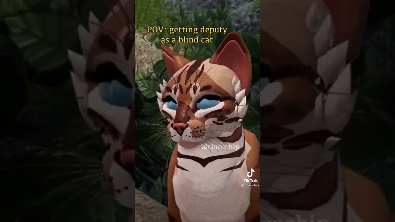 warrior cats what does claimable mean｜TikTok Search