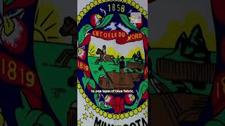 More Minnesota state flag drama #shorts
