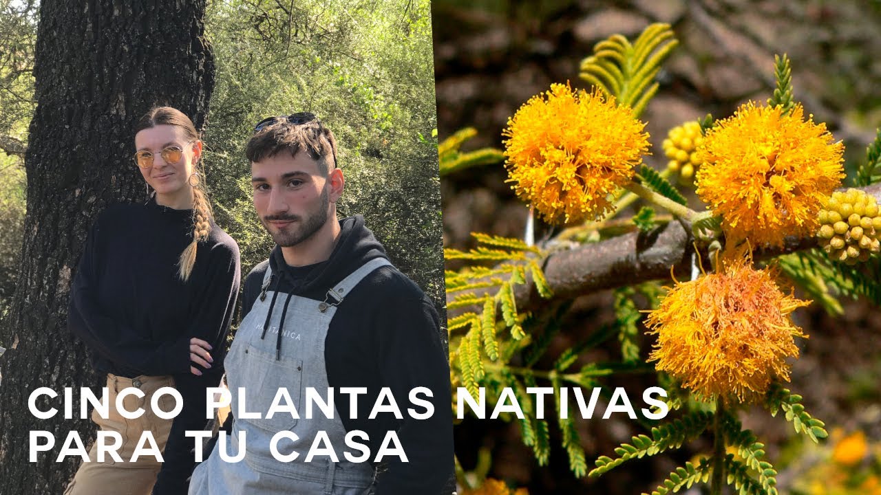 Plantas Nativas con Lu Peirone