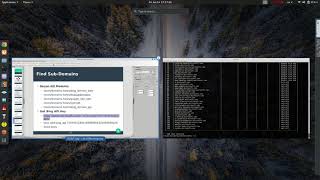 3- Sub Domains & Reverse Lookups
