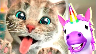 MY PET LITTLE KITTEN ADVENTURE | BEST ANIMAL EDUCATIONAL VIDEO FOR TODDLERS | Cat House Stories 1082 by LITTLE KITTEN FRIENDS 3,580 views 5 days ago 24 minutes