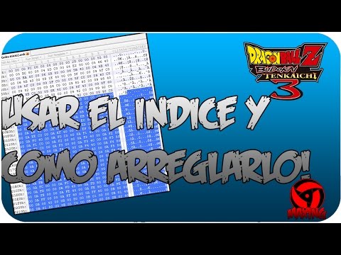 ¿Que es el indice? ¿Como arreglarlo? | DBZ BT3 Wii Tutorial #0
