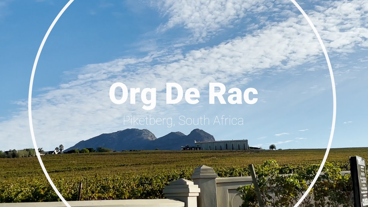 MyVino – Vineyard Org de Rac