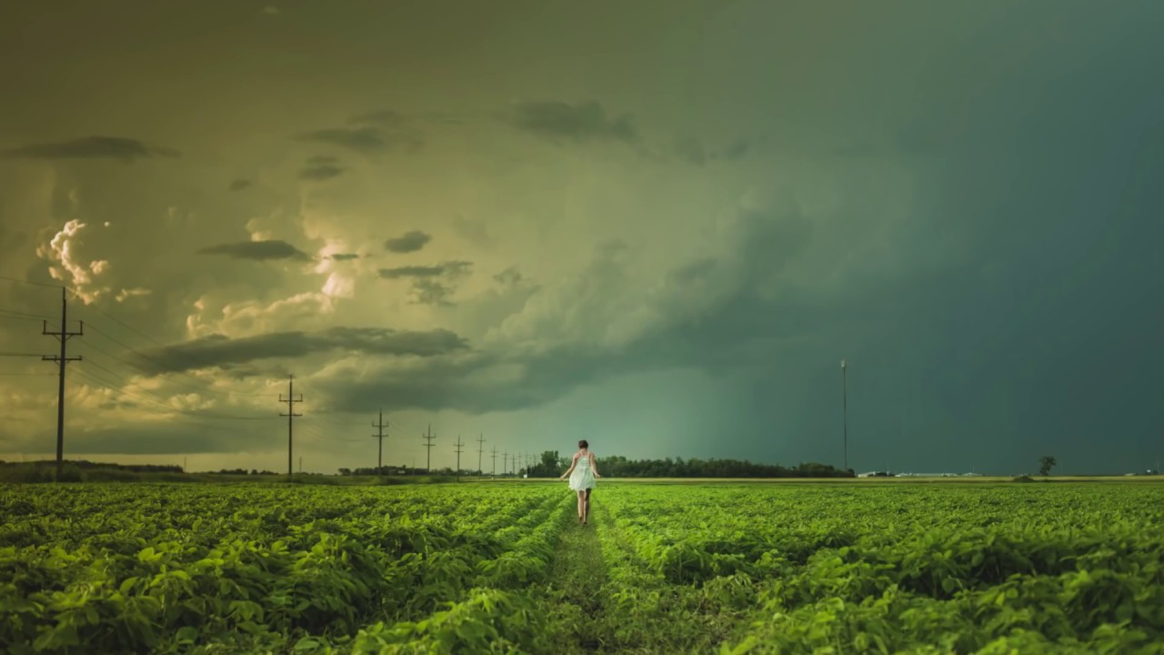 Michael FK - Path to Freedom