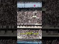 VASCO VAI JOGAR A SÉRIE B? TORCIDA DO BOTAFOGO ALFINETA O ADVERSÁRIO DEPOIS DE VITÓRIA #shorts