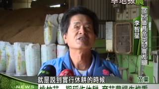 2014客家新聞｢旱地拔農專題｣：1230桃竹苗一期稻作休耕 育苗農損失慘重