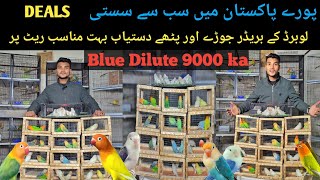 Lahore Sunday Birds Market Sa Bhi Sasta Birds | DEAL # 5 | Lovebirds Farming | #birdsentertainment |