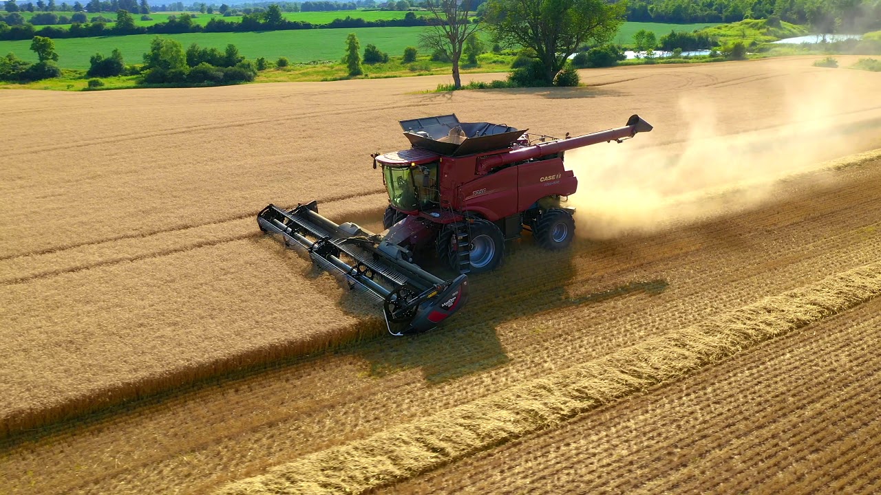 Wheat Harvest 2019 in 4K