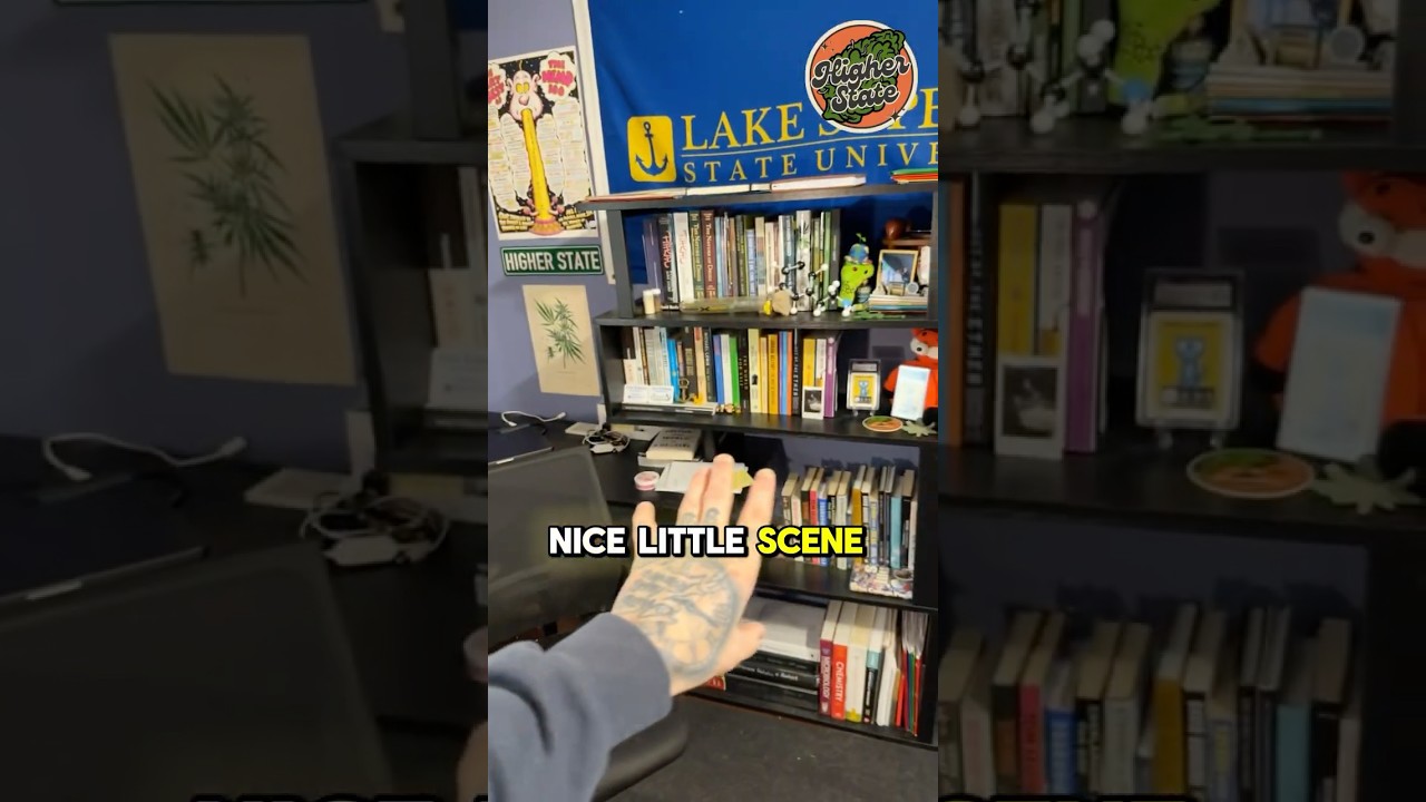 Starting My Content Creator Journey