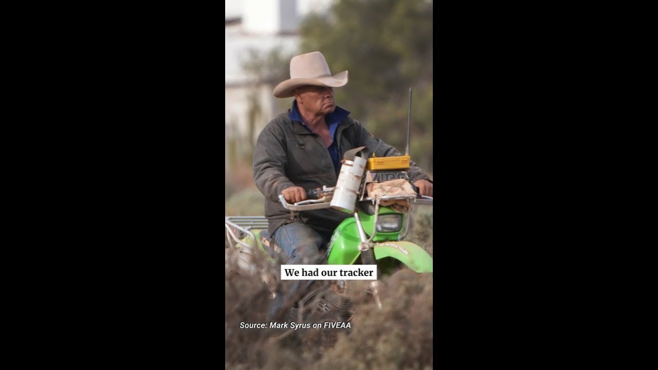 Day Six: What experienced tracker found in search for missing 4yo Gus