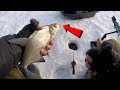 Ловля леща зимой на незнакомом водоеме | Зимняя рыбалка | Ice fishing