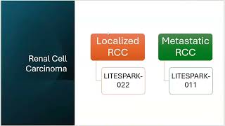 2026 Summer CME Series (June 16): General Oncology