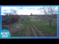 The blue skies and clouds gently float by on a muddy trail (Nature Visualizer)
