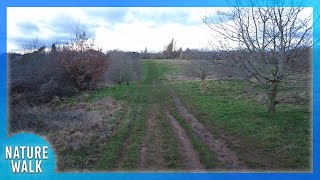The blue skies and clouds gently float by on a muddy trail (Nature Visualizer)