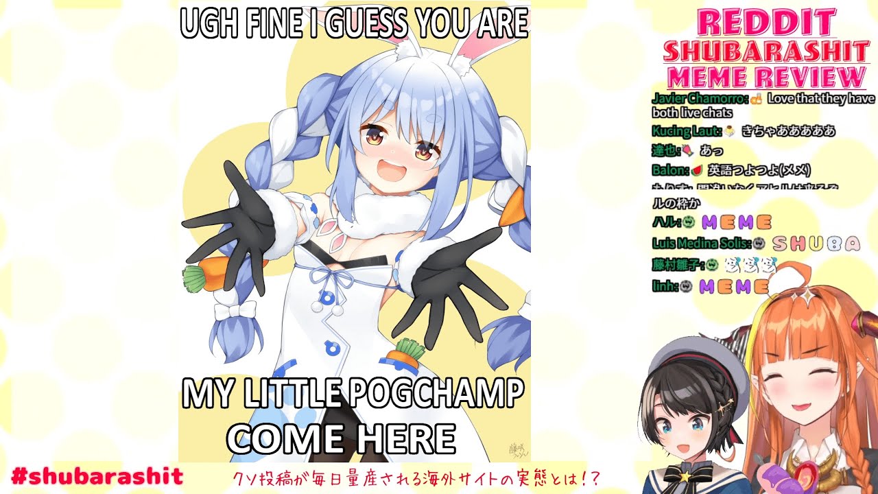 Ducks and dragons make good companions - Coco's shtposting review #14