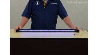 PetSolutions: Fluval AquaSky LED Aquarium Lights with Color+ & Skypad Remote