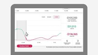 Cashflow Coach Quick Start Video