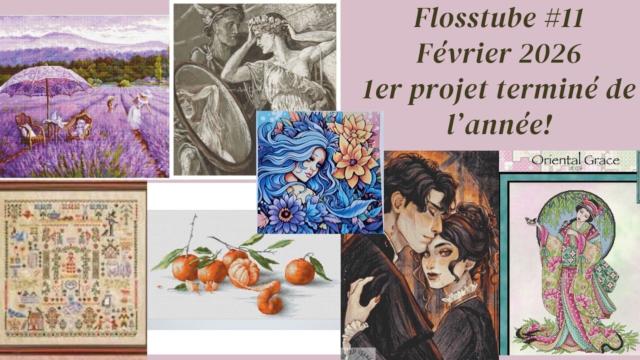 Flosstube #11 Février 2026 - Premier projet terminé de 2026! #flosstube #pointdecroix #crossstitch