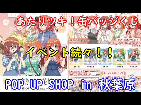映画「五等分の花嫁」POP UP SHOP ＆ 『あたりつきラッキー缶バッジBOX -vol2-』