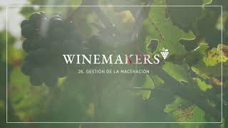 WINEMAKERS 26.GESTIÓN DE LA MACERACIÓN