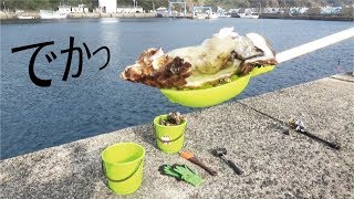 真冬に堤防際からでっかいのが飛び出してきた(469話目)
