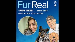 "SUGAR GLIDERS ... are so cute!" with Alea Holladay