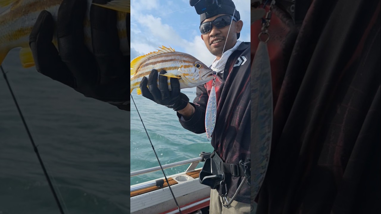 They Actually Hit THIS?! 🤯 Giant Jigs = Crazy Australian Catches  