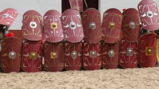 De Romeinen In Het Archeon