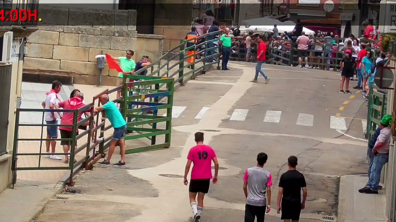 Villa de Vitigudino • Fiestas • Corpus • 2022 (01)