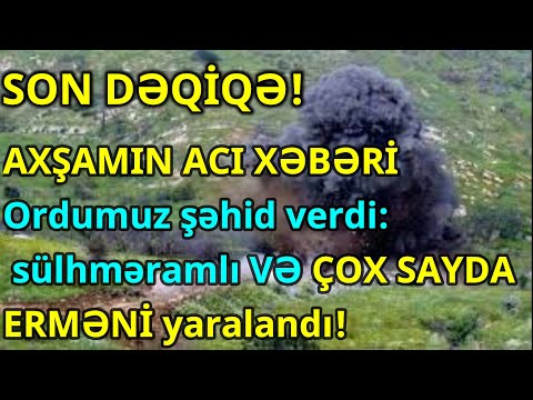 Video: Avstraliya Çobanı: Cinsin, Xarakterin, Qulluq Və Baxımın Fotoşəkili Və Təsviri