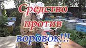 ПАСЕКА ВЛАДИМИРА РЯБУХИНА