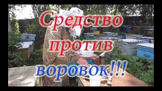 СУПЕР СРЕДСТВО  ОТ НАПАДА ВОРОВОК.  Beekeeping.🔥🔥🔥