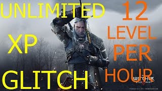 The Witcher 3  Wild Hunt Level Up (unlimited xp) Glitch 12 Level per Hour