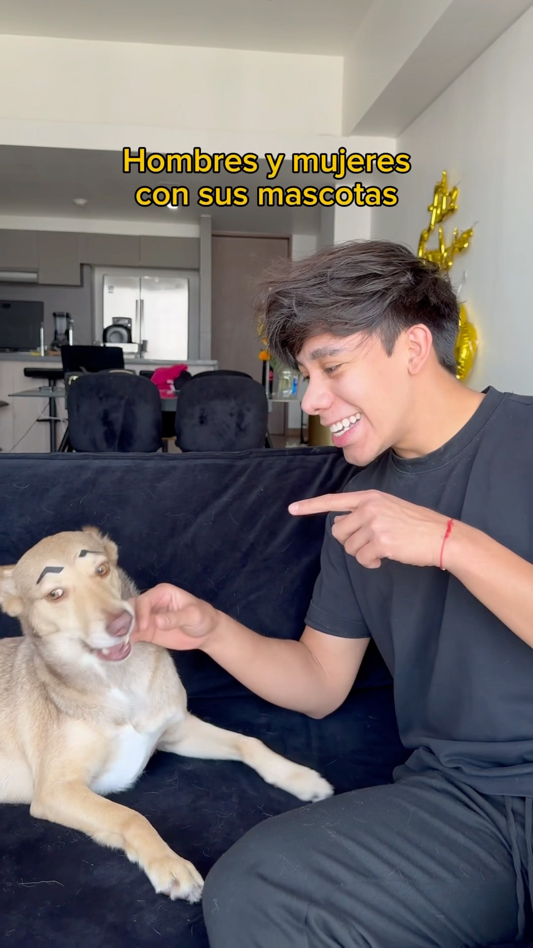 Dos diferentes perros que ni se topan! ? #Sonrixs