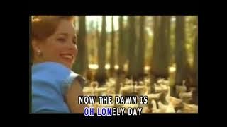 𝗩𝗔𝗬𝗔 𝗖𝗢𝗡𝗗𝗜𝗢𝗦 || 𝗖𝗶𝗽𝘁. 𝗟𝗮𝗿𝗿𝘆 𝗥𝘂𝘀𝘀𝗲𝗹, 𝗜𝗻𝗲𝘇 𝗝𝗮𝗺𝗲𝘀, 𝗕𝘂𝗱𝗱𝘆 𝗣𝗲𝗽𝗽𝗲𝗿 || 𝗪𝗶𝗹𝘀𝗼𝗻 𝗪𝗮𝗻𝗱𝗮 || #lagubarat #papua