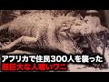 300人捕食したのにいまだ捕獲されていない伝説の人喰いワニ「ギュスターブ」【自然】