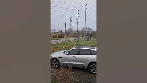 Love this one!!#mikelalicich #mybestfriend #ballislife #germanshepherd #liveyourbestlife #gsd