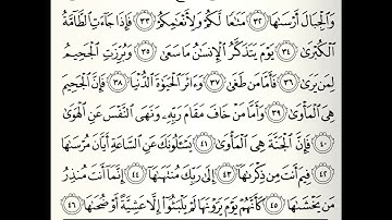 سورة النازعات القارئ صلاح الهاشم