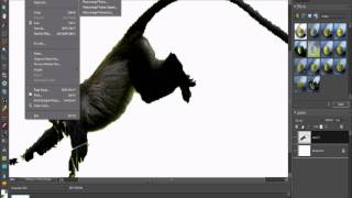 How to make a monkey explode HD