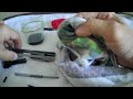Ruger LCP Max 75th Anniversary Edition Cleaning