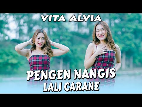 Vita Alvia - Pengen Nangis Lali Carane (Official Music Video)