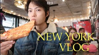 Cooking and going to restaurants in New York (easy and simple recipes) l New York Vlog