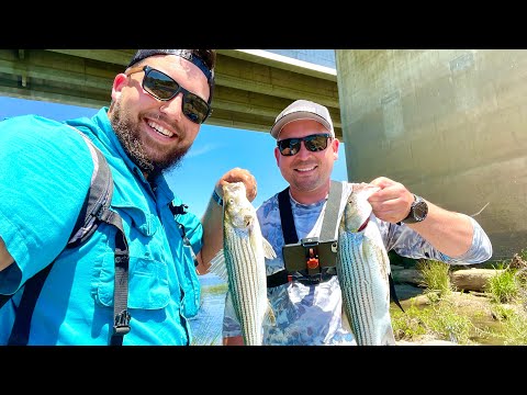 Striper And Bass