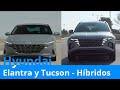 ¡Inesperado! Hyundai Tucson y Elantra Híbridos llegan a México